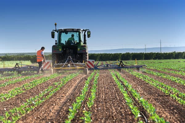 Actiture Organic Vegetables