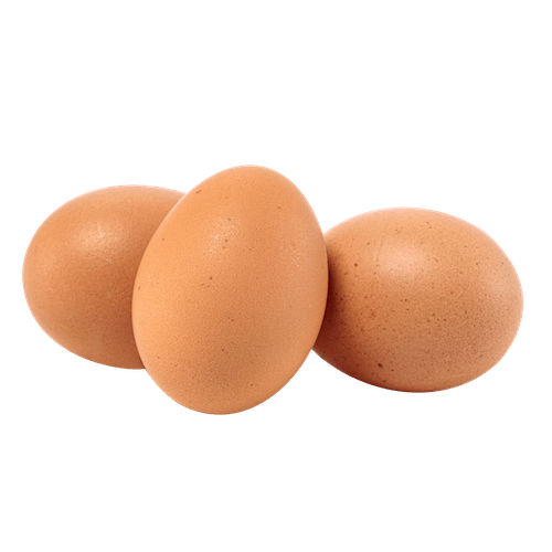 Huevos Ecológicos